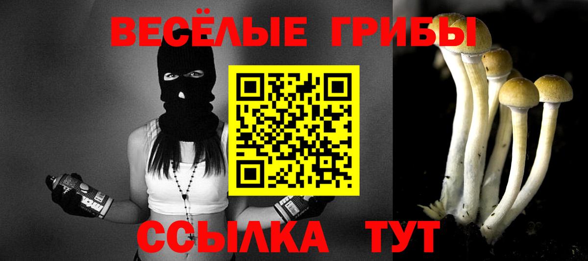 Галлюциногенные грибы прущие грибы  Вход с VPN  Отрадное 